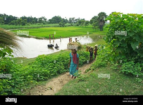 Bihar Village Stock Photos & Bihar Village Stock Images - Alamy