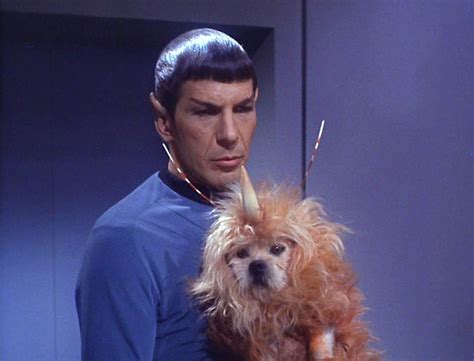 "Space Dog" - The Enemy Within - Star Trek: The Original Series Image (6352214) - Fanpop