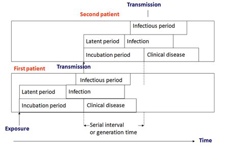 Incubation period Definition and Examples - Biology Online Dictionary