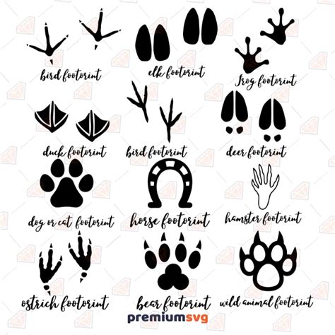 Animal Tracks Bundle SVG, Animal Footprints Clipart Cut Files | PremiumSVG