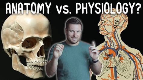 What's the Difference Between Anatomy and Physiology? | Corporis - YouTube