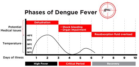 Fever Symptoms