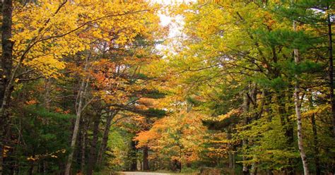 10 Reasons to Visit Maine This Fall (2023 Guide) – Trips To Discover