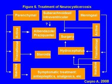 神经囊尾蚴病的神经影像学治疗与管理:内科护理、外科护理