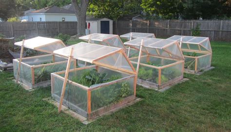 Diy Small Greenhouse For Winter - Greenhouses Diy