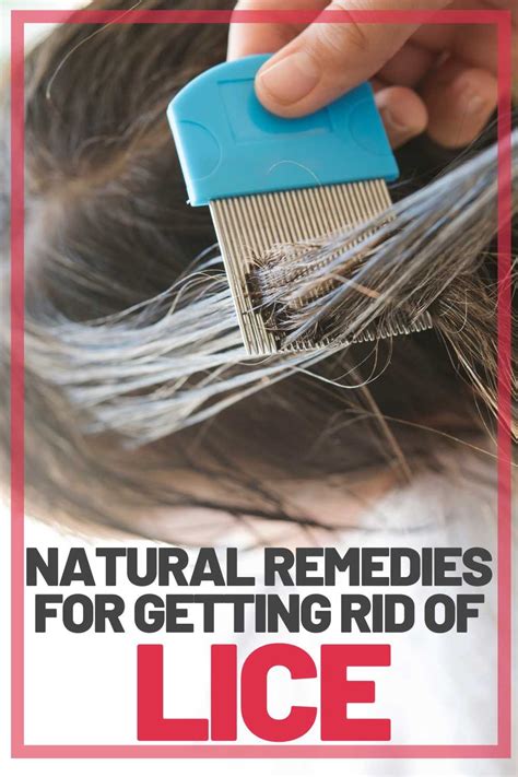 Get Rid Of Lice For Good - 5 Lice Remedies That Work