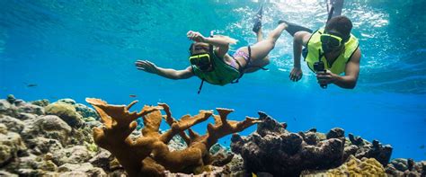 Discover the Best Snorkeling Spots in Panama City Beach