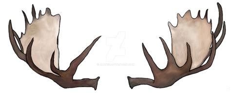 Moose Antlers by Aluvisi on DeviantArt