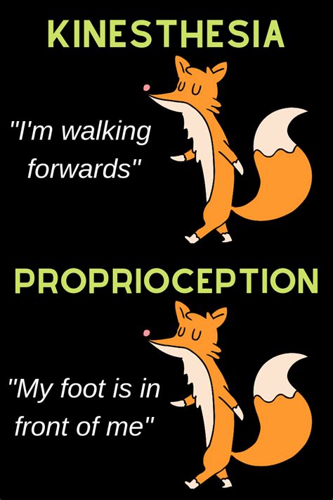 Kinesthesia vs. Proprioception: What’s The Difference? | Pediatric physical therapy, Physical ...