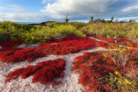 Floreana — Galápagos Islands - ZO Magazine