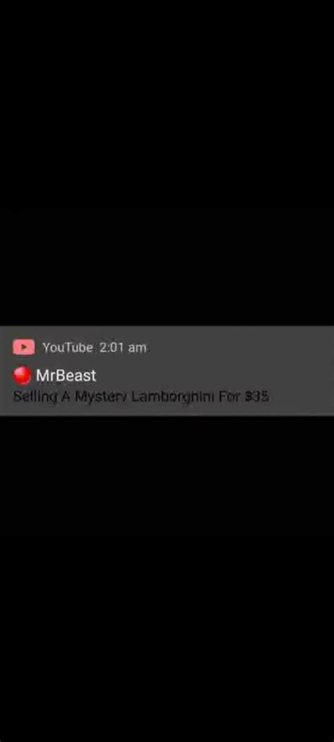 Explain this? Does anyone Has Full Livestream Footage?? : r/MrBeast