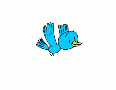 Bird Blue GIF - Bird Blue Wings - Discover & Share GIFs