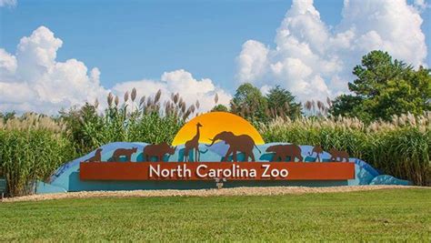 New Additions Coming to the North Carolina Zoo