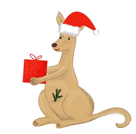 Christmas Kangaroo Stock Photos, Pictures & Royalty-Free Images - iStock