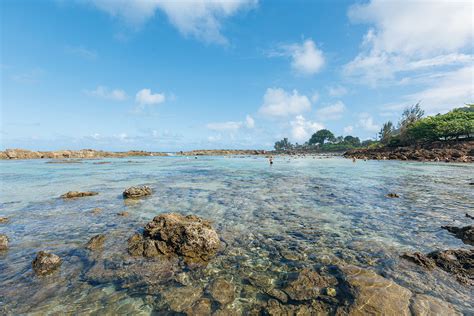 Everything You Need to Know About Shark’s Cove, Oʻahu - Hawaii Magazine