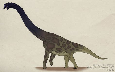 Sauroposeidon Pictures & Facts - The Dinosaur Database