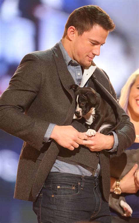 Channing Tatum Photos Photos: Fox's Cause For Paws: An All-Star Dog ...