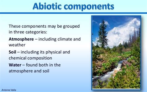 Abiotic components of the environment