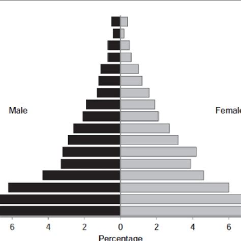 1: Nigeria's Population Pyramid in 2013. Source: Third National Youth ...