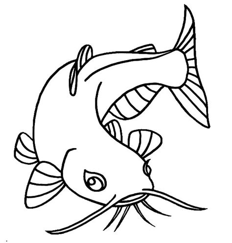 Catfish with Beuatiful Eyes Coloring Pages | Best Place to Color