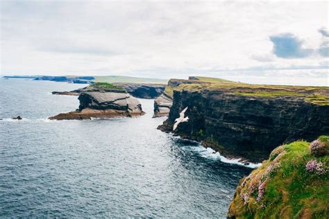 Kilkee Cliffs – Atlantic Way Touring