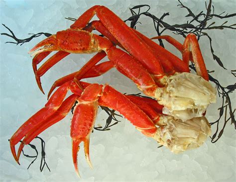 Snow Crab - Chefs Resources