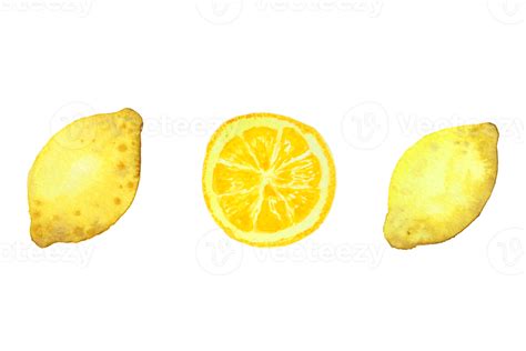 Free Lemon watercolor painting 20482785 PNG with Transparent Background