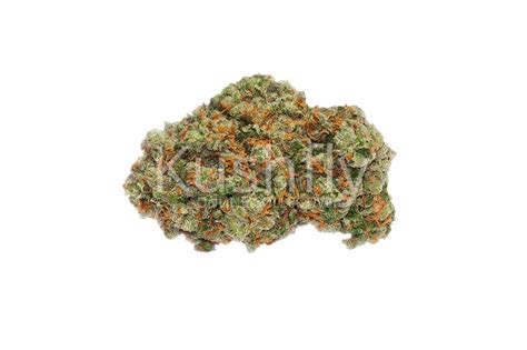 Blue Cookies Cannabis Strain Delivery anywhere in LA - Kushfly.com