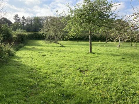 A RARE OPPORTUNITY TO PURCHASE A ONE ACRE TRADITIONAL ORCHARD SET ON THE OUTSKIRTS OF PORTBURY ...