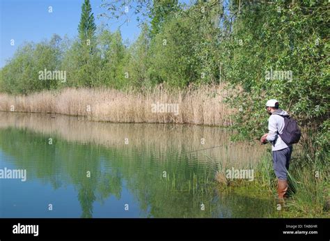 Fishing in a lake near Paris in France, Europe Stock Photo - Alamy