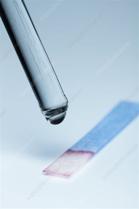 Cobalt chloride test paper - Stock Image - C036/3292 - Science Photo ...