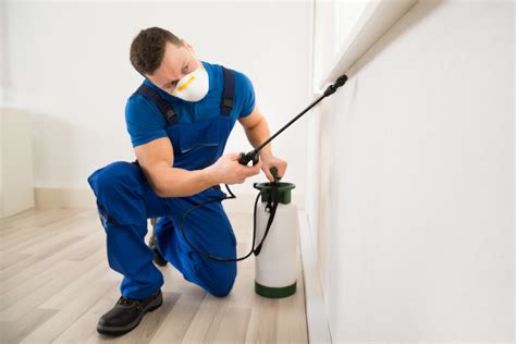 Eco Friendly Pest Control in Davie is the Best Way to Protect Your ...