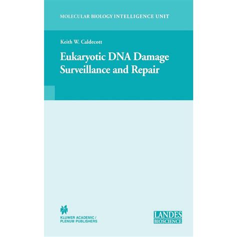 Eukaryotic dna Damage Surveillance and Repair | Submarino