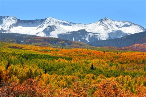 Colorado by Nature: The World's Largest Living Organism - 5280