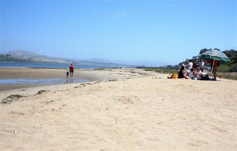 Best Marin County Beaches for Families | Marin Mommies