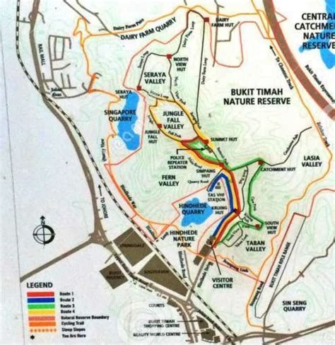 Bukit Timah Nature Reserve Singapore - Your Complete Guide