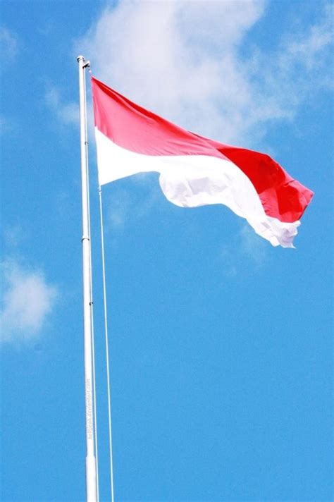 Sejarah Bendera Merah Putih Ukuran Fungsi Dan Larangan Mangenjang ...