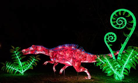 ZooLights in - Phoenix, AZ | Groupon