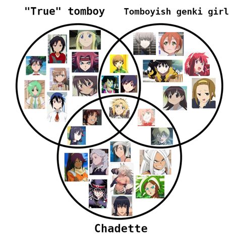 Tomboy Diagram | Tomboy | Know Your Meme