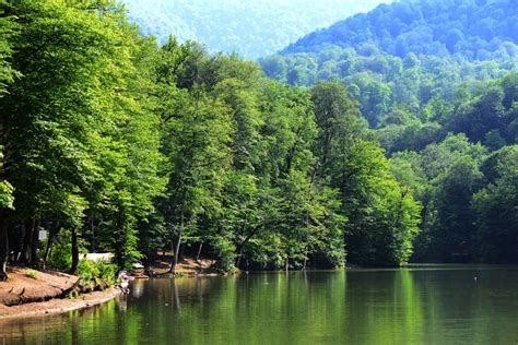 Dilijan National Park in Armenia | Wildlife Worldwide