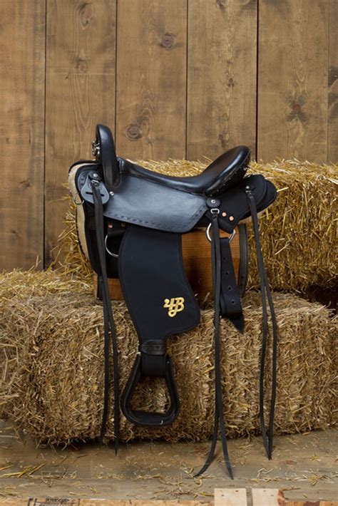 Custom Imus 4-Beat Elite Lightweight Gaited Saddle – Phoenix Rising ...