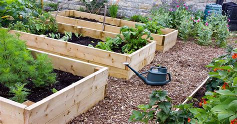 Raised Bed Gardening Benefits: What do they actually do? | GP