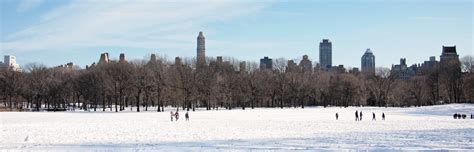 The Best Ways to Spend Snow Days in NYC! | New York City | Coldwell ...