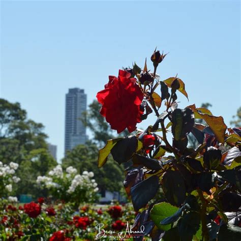 Beautiful Parks and Green Spots to Visit in Buenos Aires - Becci Abroad