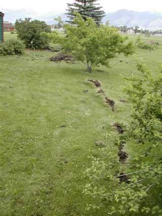 Can Lightning Cause Serious Property Damage? - ALL-LINES Public ...