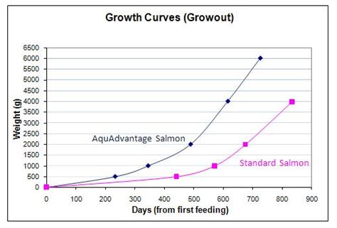 GMO Salmon May Soon Receive FDA Approval