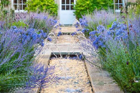 25+ Russian Sage Companion Plants - OseiTangji