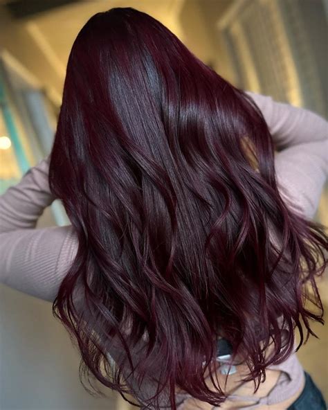 Black Cherry Hair Color, Hair Color Cherry Coke, Wine Hair Color, Hair Color Plum, Brunette Hair ...