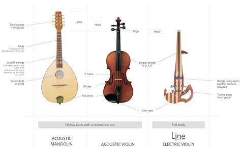 Why do the mandolin and the violin go so well together? - 3Dvarius