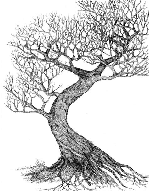 Best 25+ Oak tree drawings ideas on Pinterest | Branch drawing, How to draw trees and Tree with ...